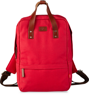 Laptop Hand Bag